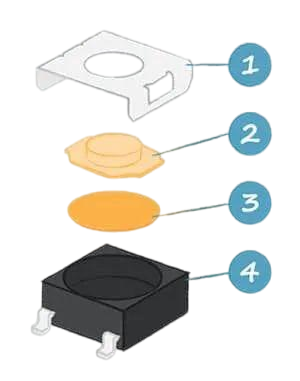 tactile switches structure.png